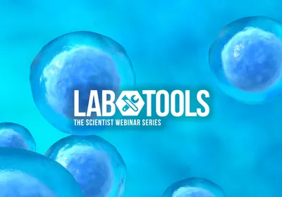 Building Broader B Cell Diversity for Better Monoclonal Antibody Discovery<br ><br>